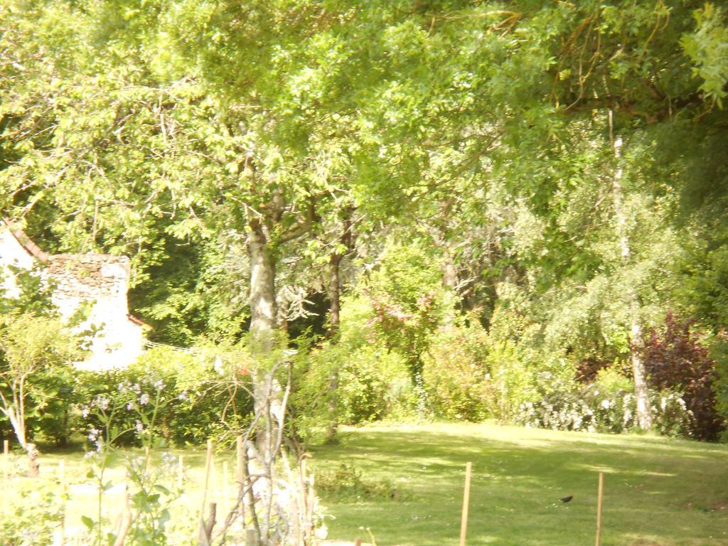 B&B La Ferme Des Bordes Pontlevoy Экстерьер фото