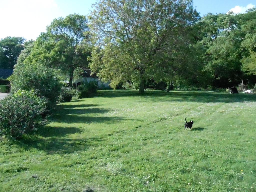 B&B La Ferme Des Bordes Pontlevoy Экстерьер фото