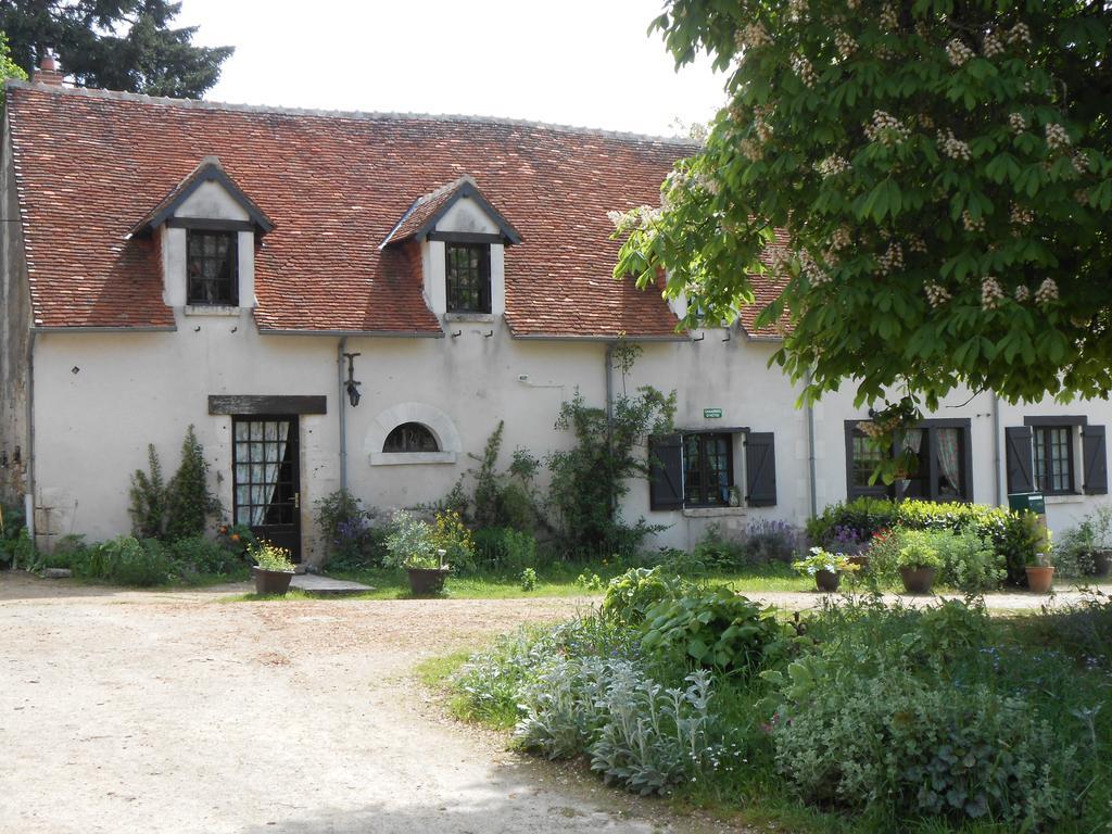 B&B La Ferme Des Bordes Pontlevoy Экстерьер фото